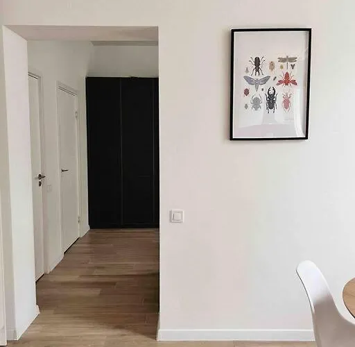 Bright Cozy In Quiet Center